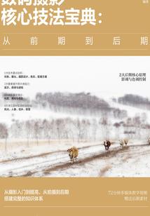 黑昭