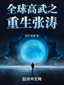 明末造反的我进入诸天