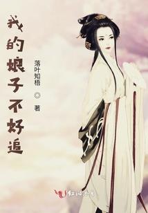陆吹衣