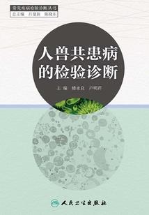 穿越起豆