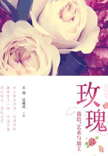 梦中信约