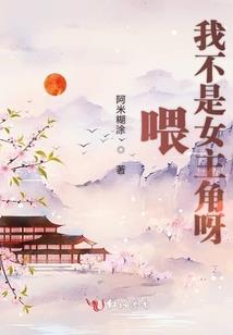 再会爱情