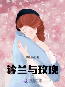 新明风华传