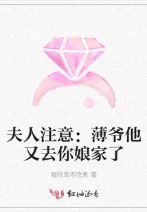美女江山一锅端