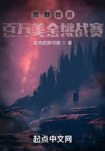 我和一只猫的工作