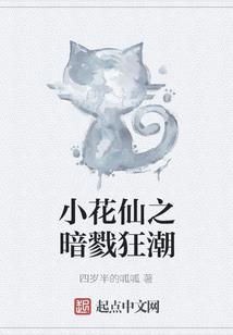 重生之异界灰姑娘