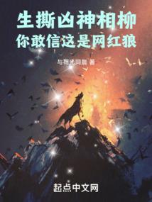 逆殇之穹极之上