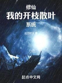 镜隐浮华录